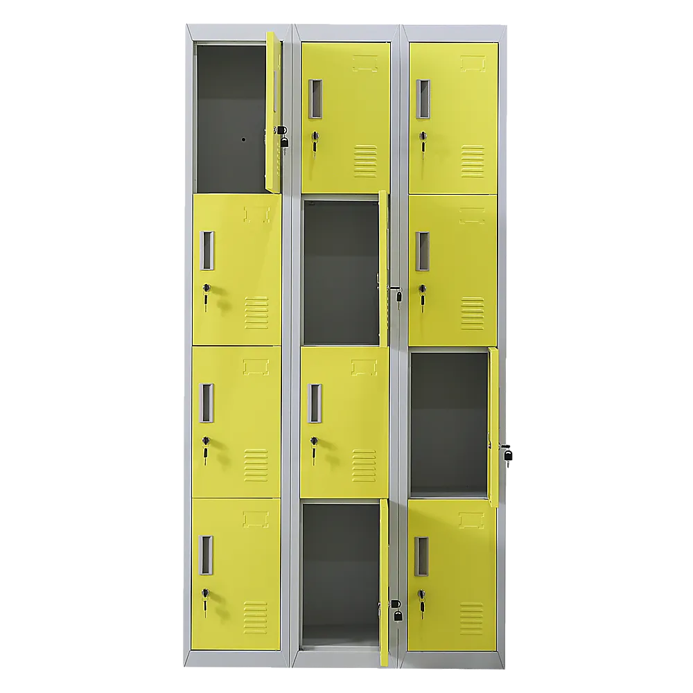12-Door Locker for Office | Gym | Shed | School | Home Storage | Standard Lock with 2 Keys