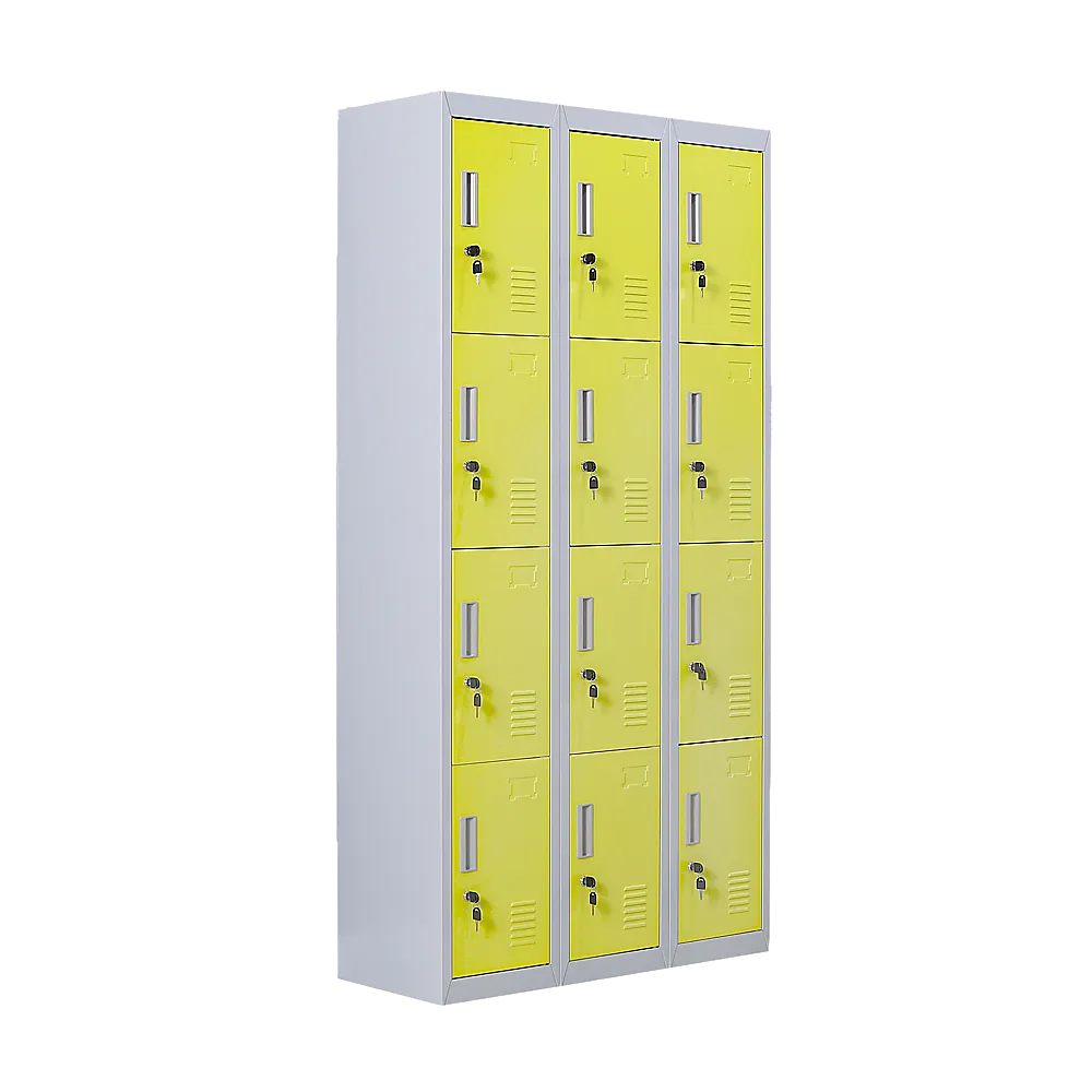 12-Door Locker for Office | Gym | Shed | School | Home Storage | Standard Lock with 2 Keys