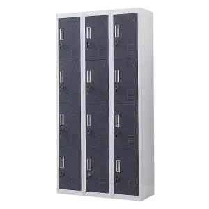 12-Door Locker for Office | Gym | Shed | School | Home Storage | Standard Lock with Keys