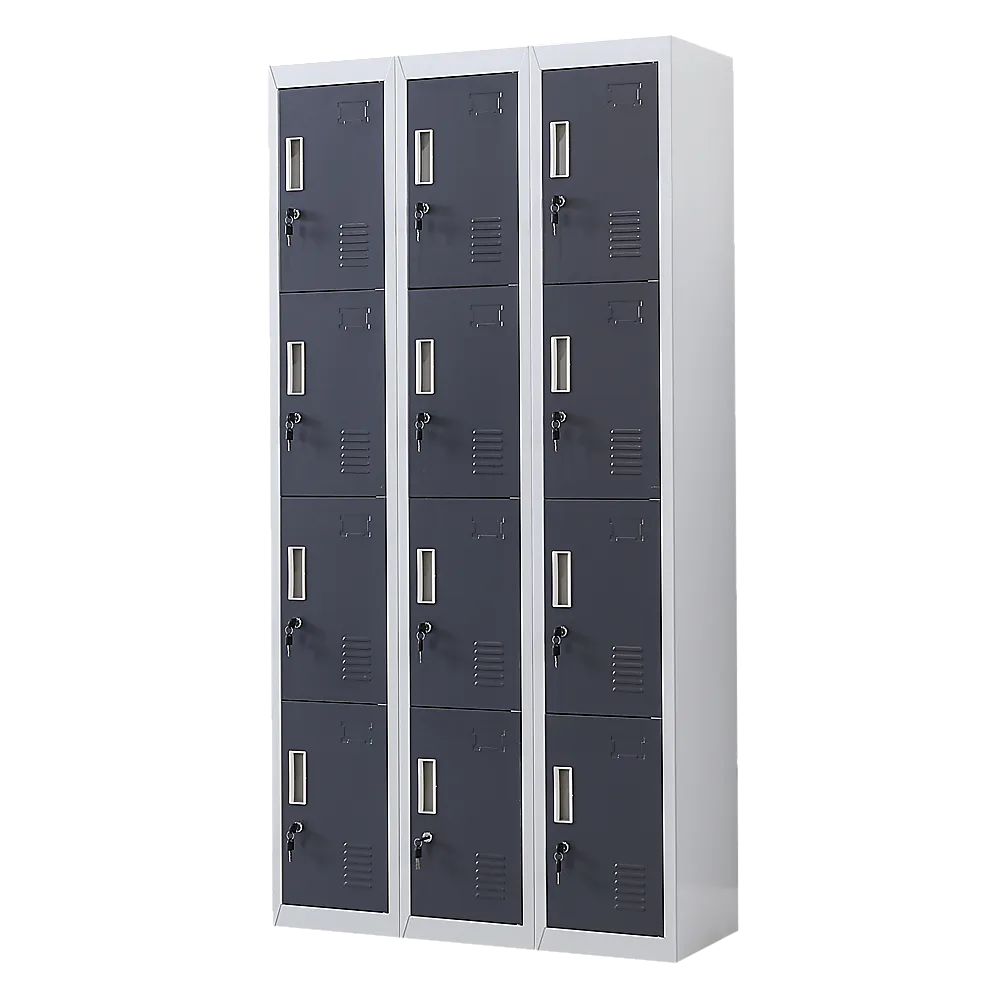 12-Door Locker for Office | Gym | Shed | School | Home Storage | Standard Lock with Keys