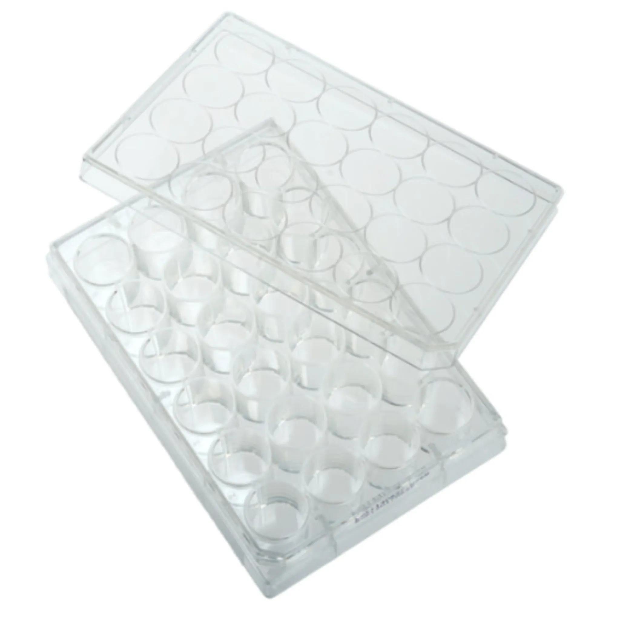 24 Well Tissue Culture Plate, Sterile (229123)