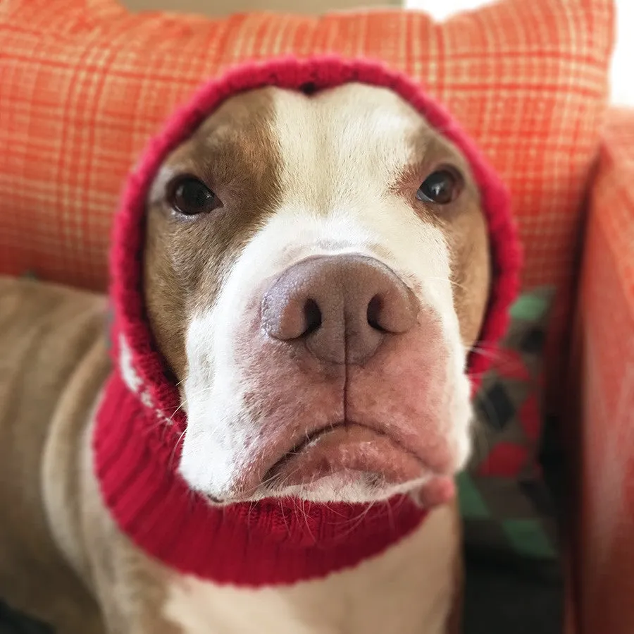 Alpaca Snowflake Hat