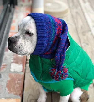 Alpaca Snowflake Hat