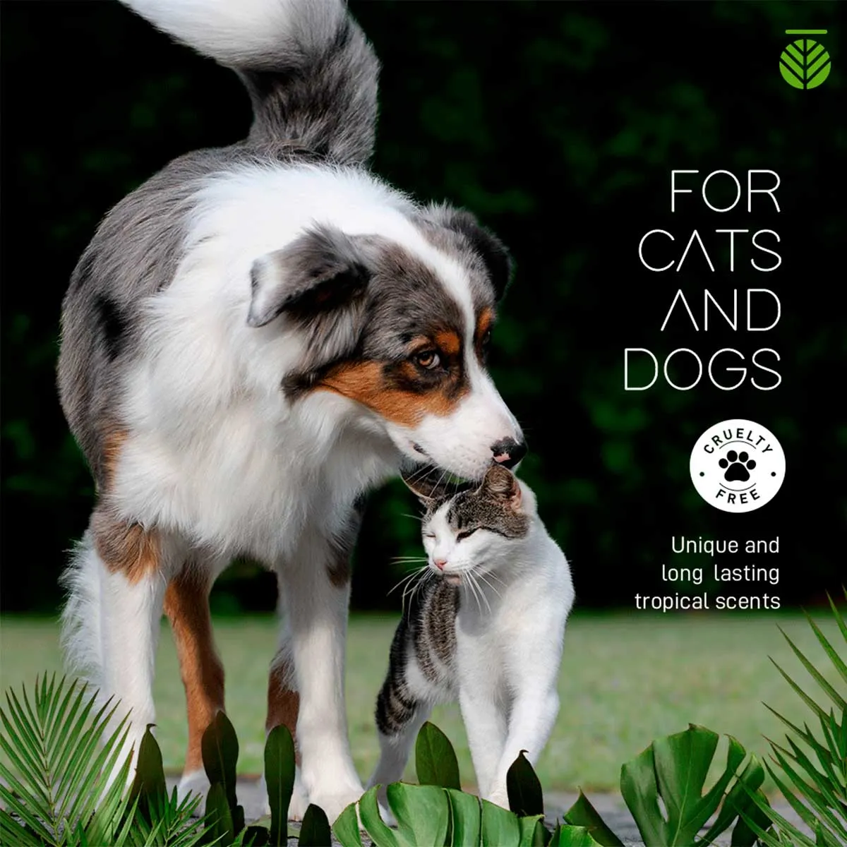Amazonia Pitanga Pet Shampoo