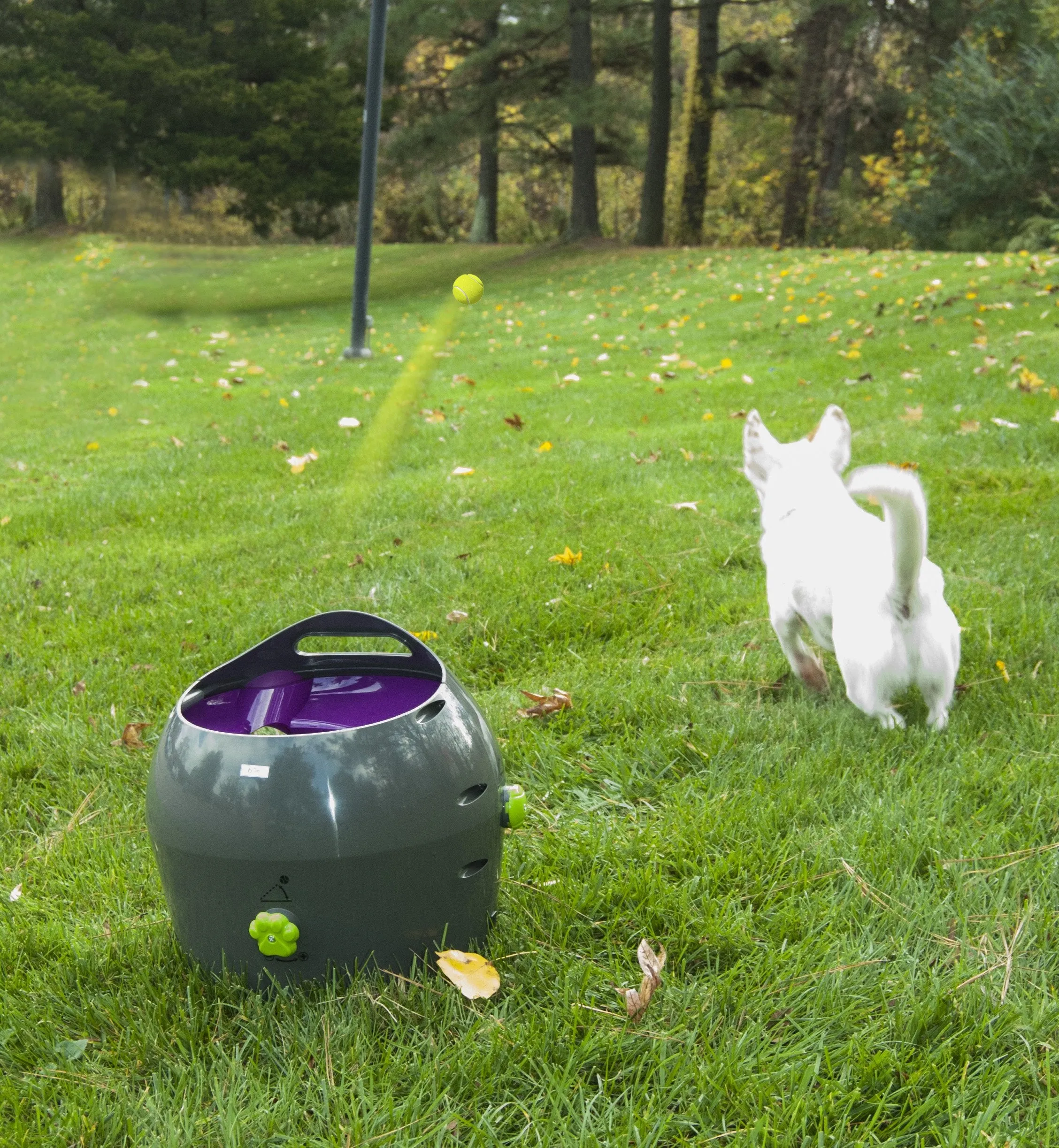 Automatic Ball Launcher
