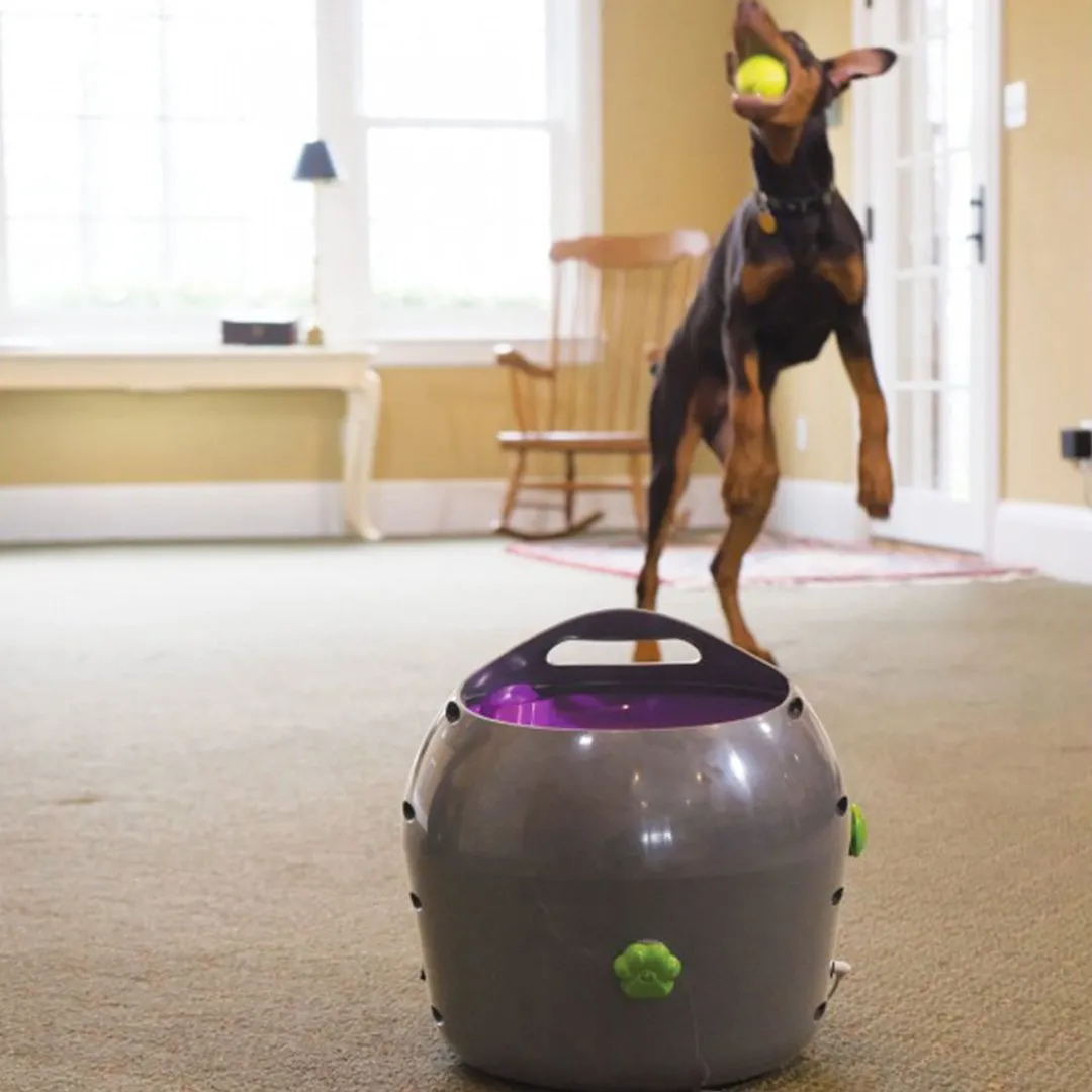 Automatic Ball Launcher