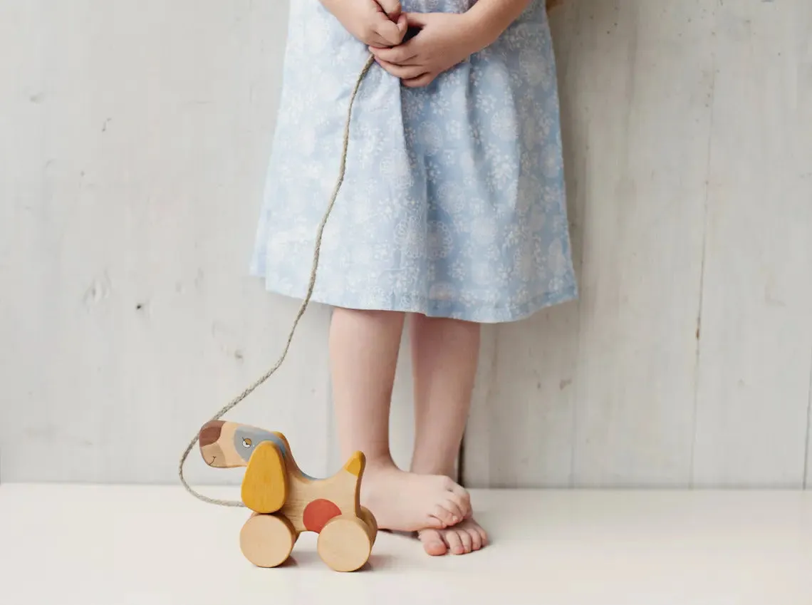 Cute Wooden Dog Toy For Kids