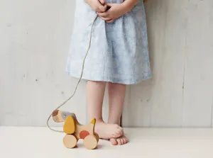 Cute Wooden Dog Toy For Kids