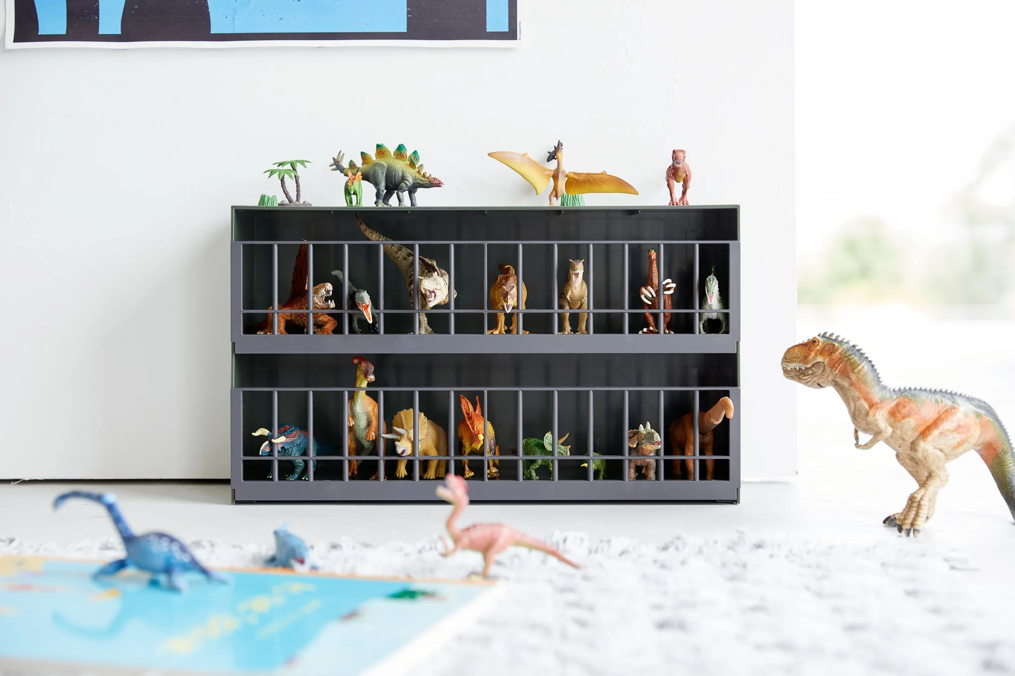 Display Rack