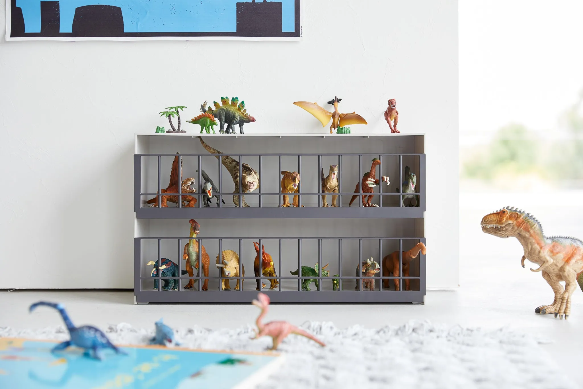 Display Rack