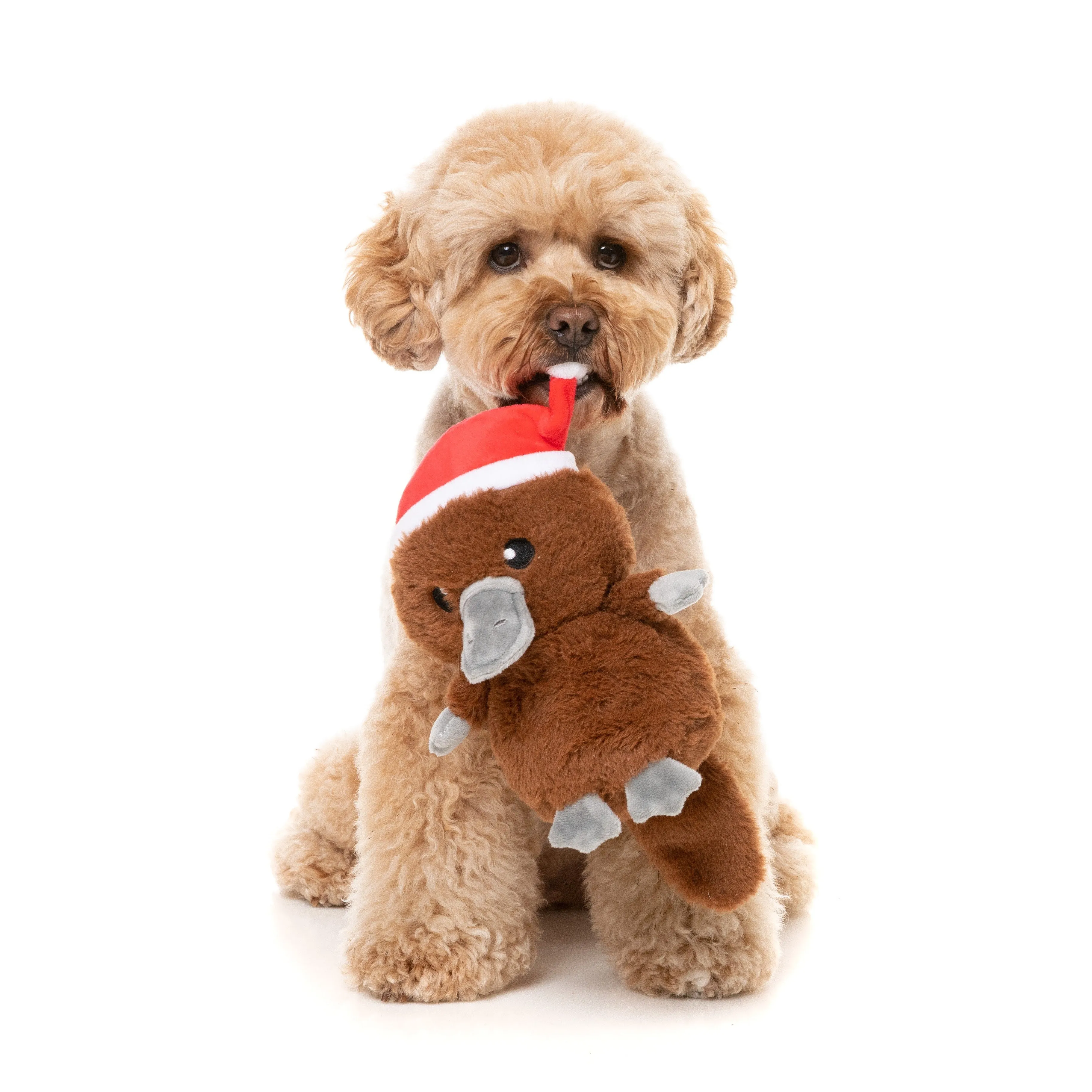 FuzzYard Christmas A-Wreatha the Platypus Soft Dog Toy