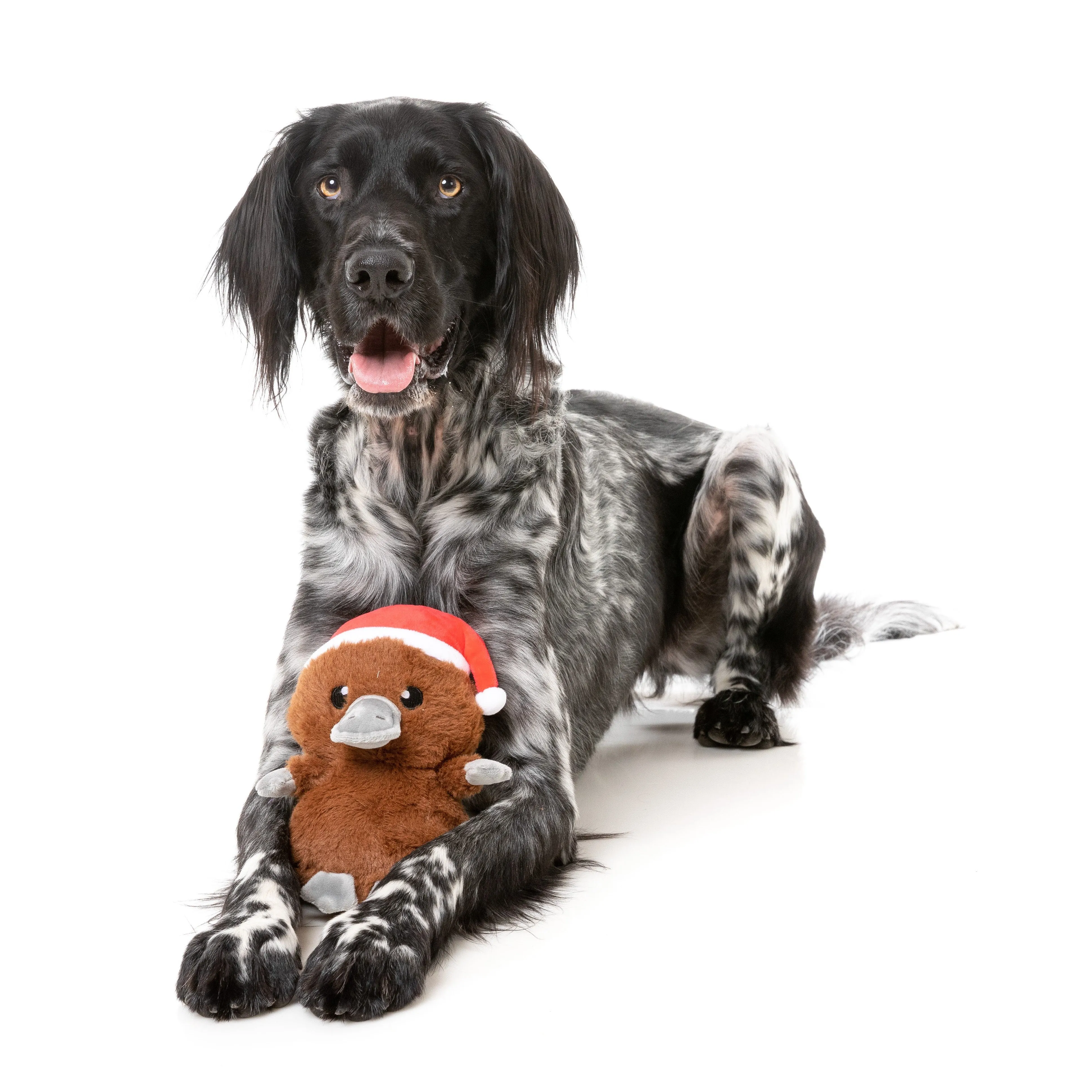 FuzzYard Christmas A-Wreatha the Platypus Soft Dog Toy