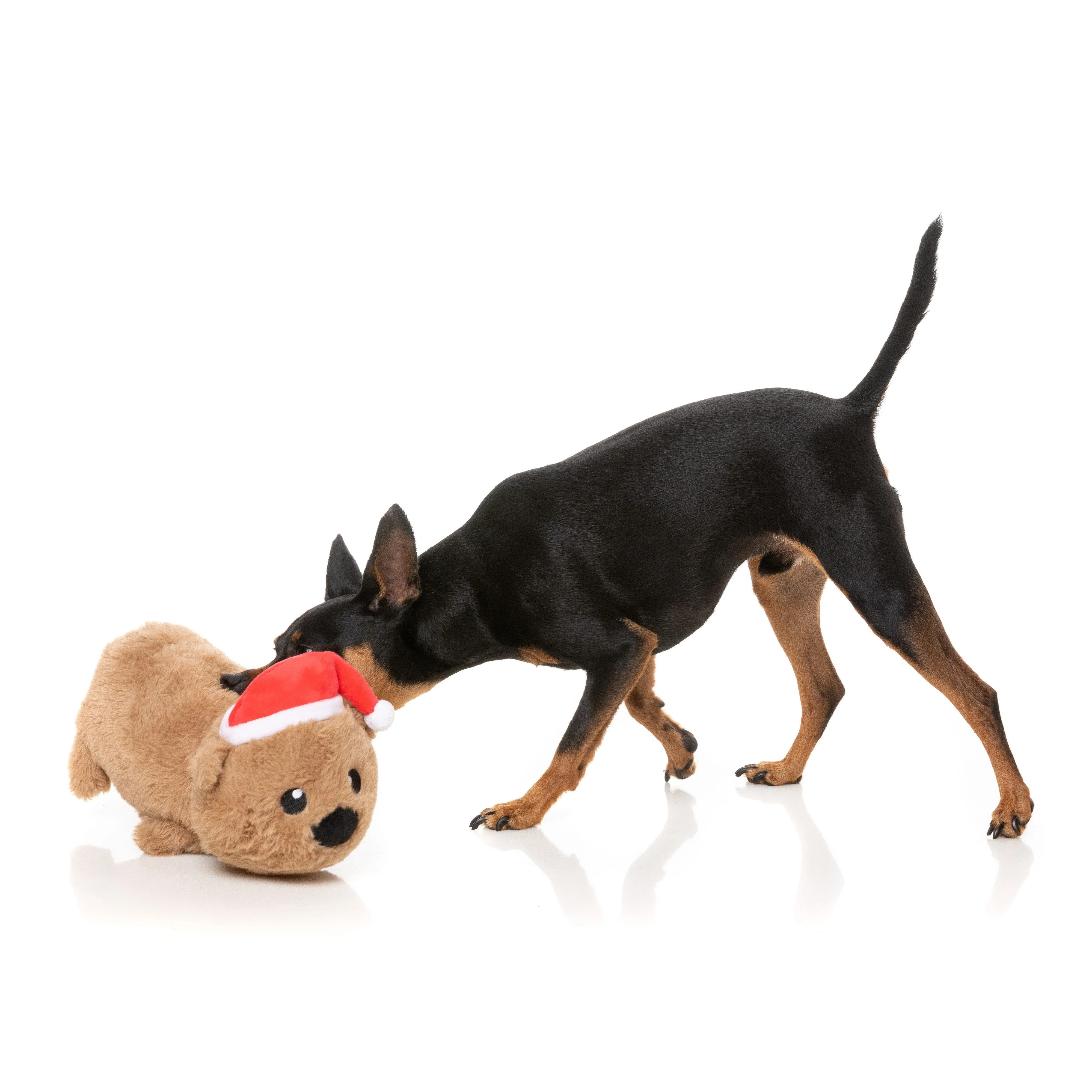 FuzzYard Christmas Felix-Navidad Wombat Soft Dog Toy