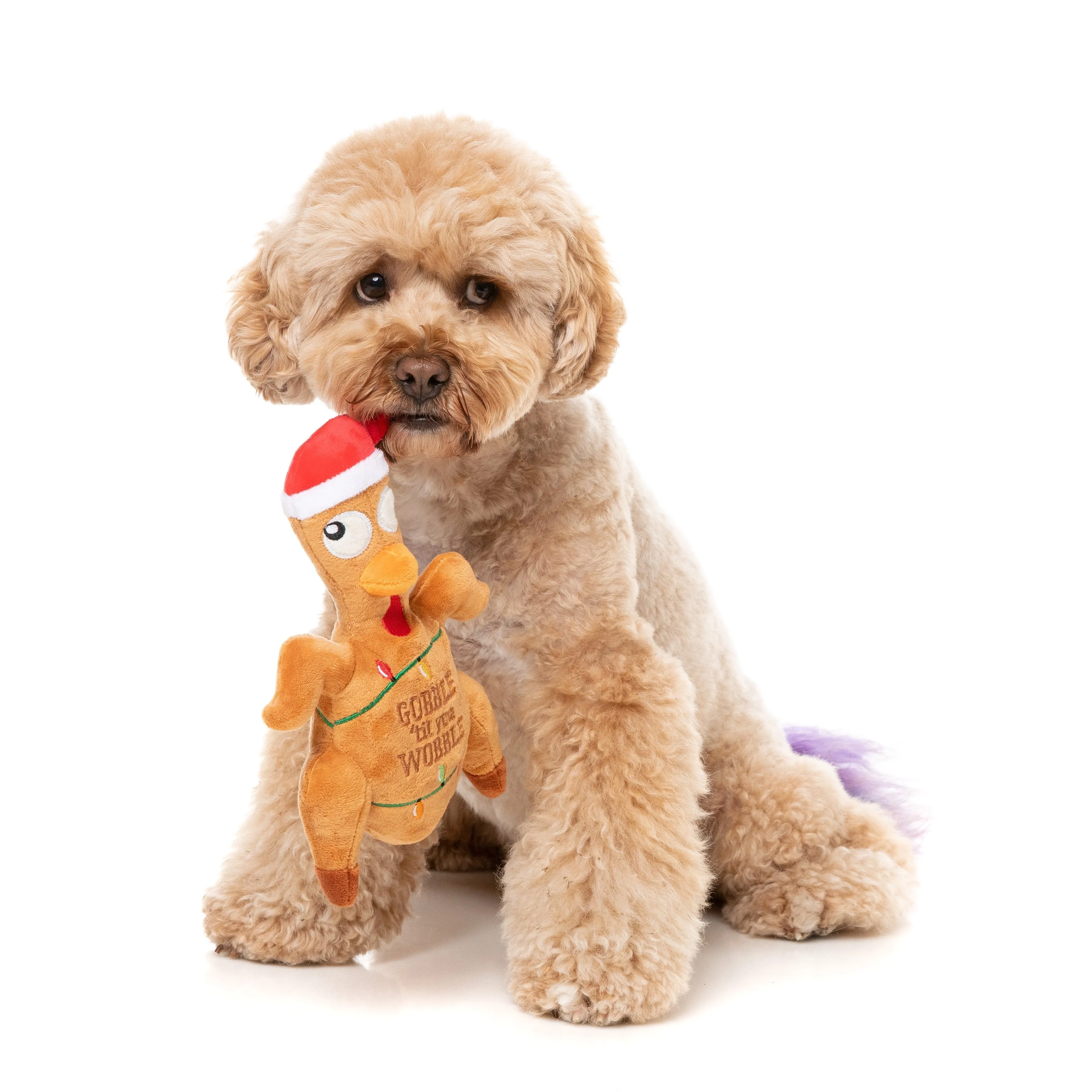 FuzzYard Christmas Gobble Til You Wobble Turkey Soft Dog Toy