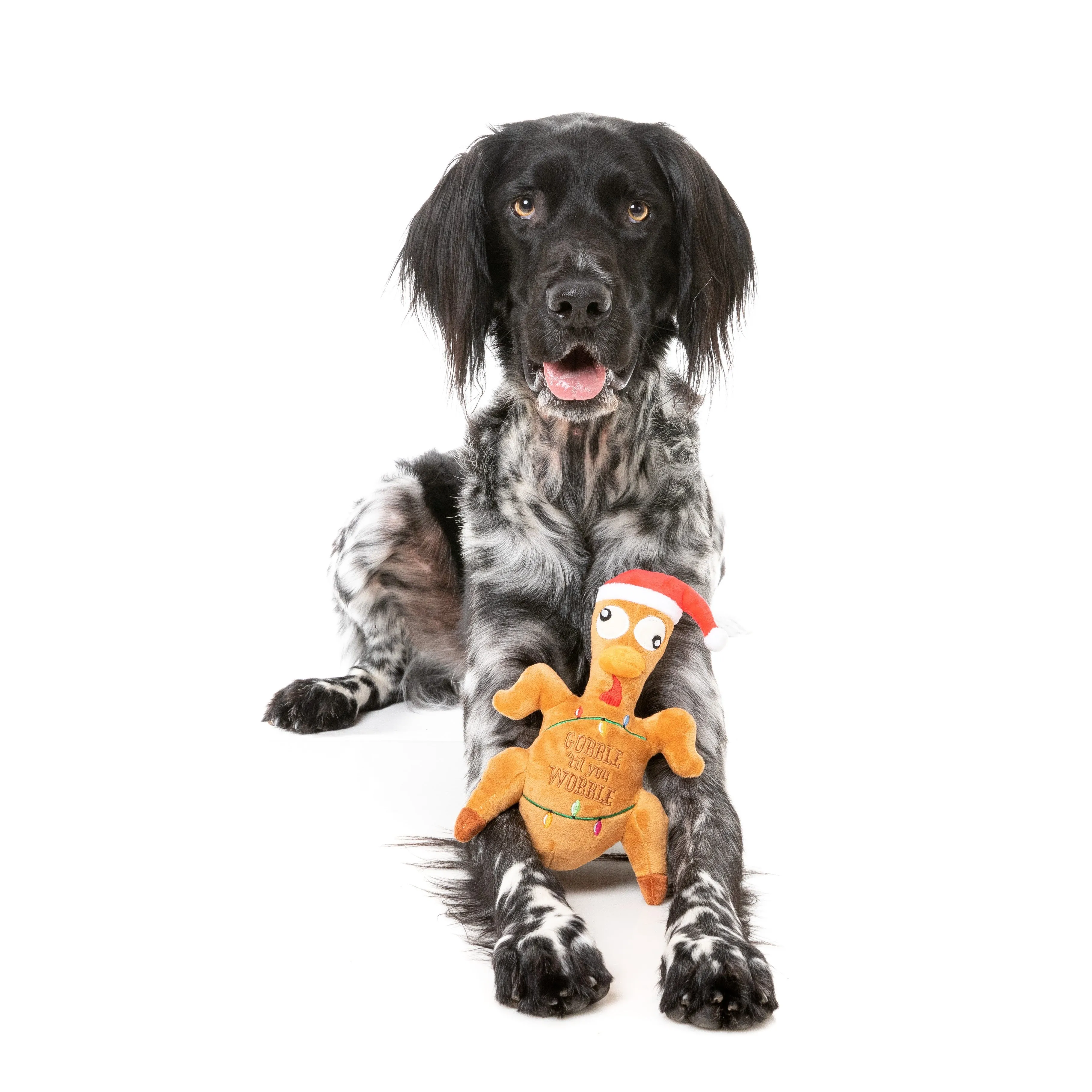 FuzzYard Christmas Gobble Til You Wobble Turkey Soft Dog Toy