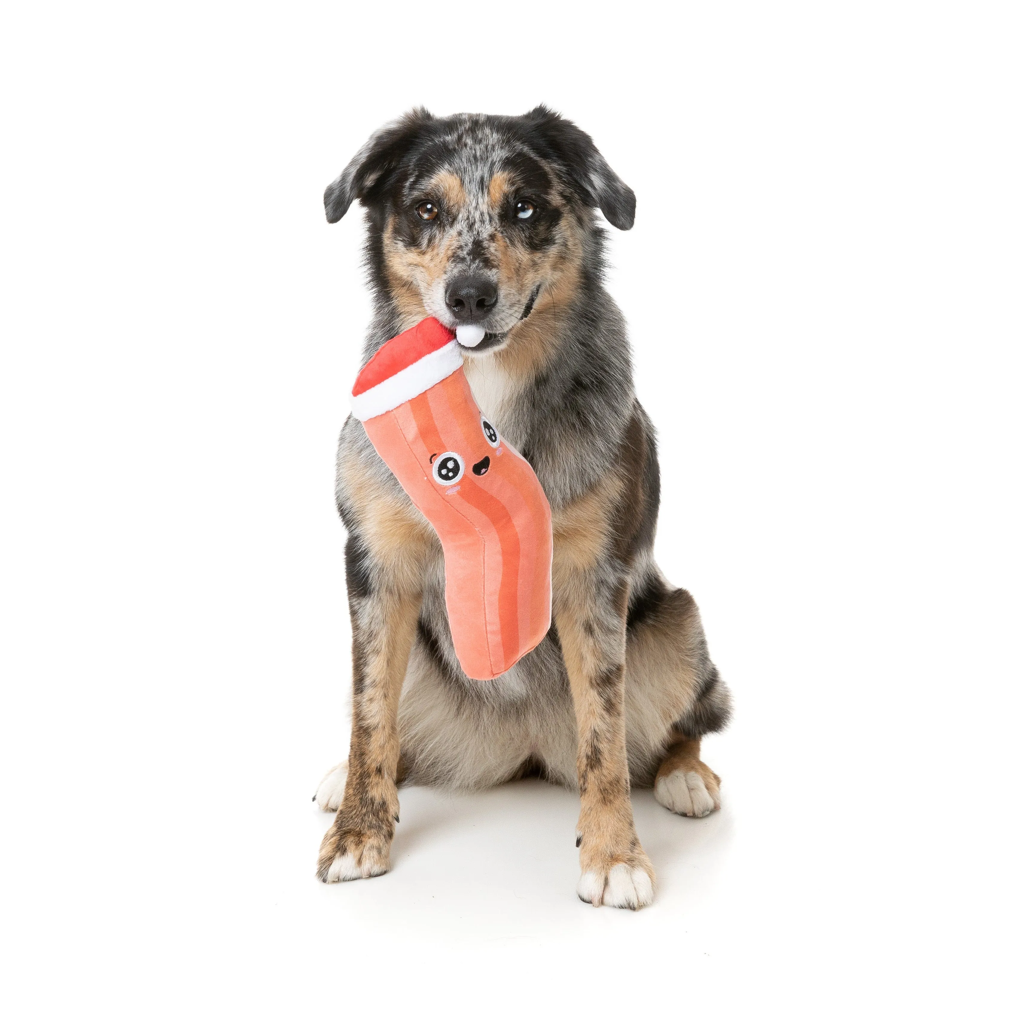 FuzzYard Christmas Its Bacon-ing to Look a Lot Like Christmas Soft Dog Toy***