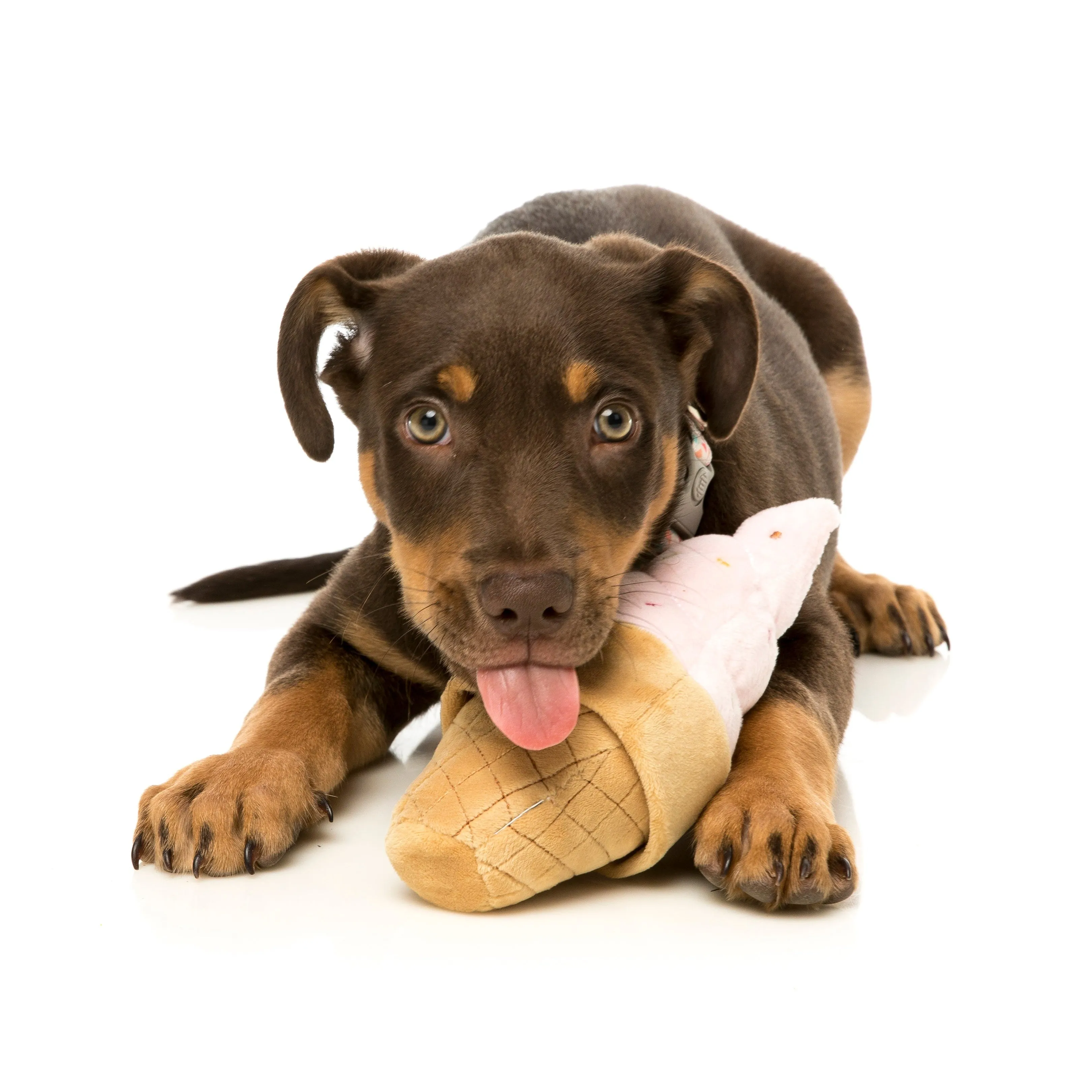 Fuzzyard Dog Toy Soft Serve Icecream^^^