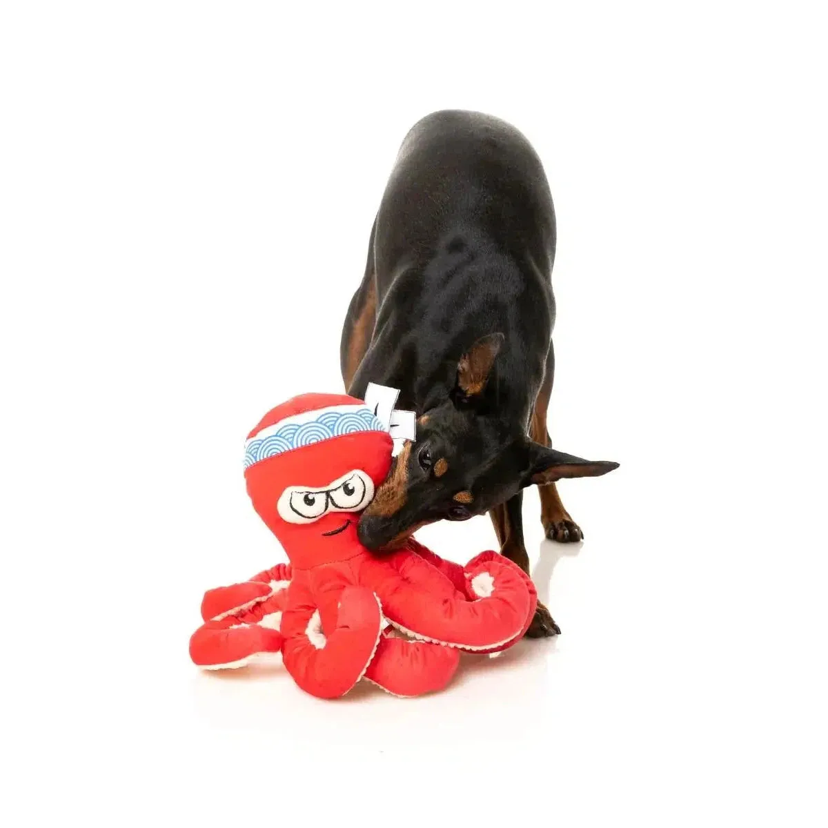 FuzzYard  |  OctoPosse - Takoyaki - Plush Dog Toy