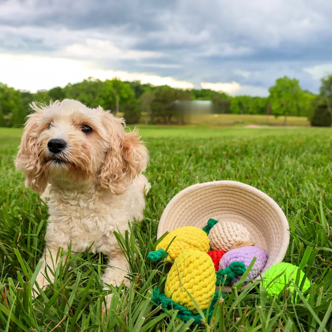 Handmade Scallion Rope Toy