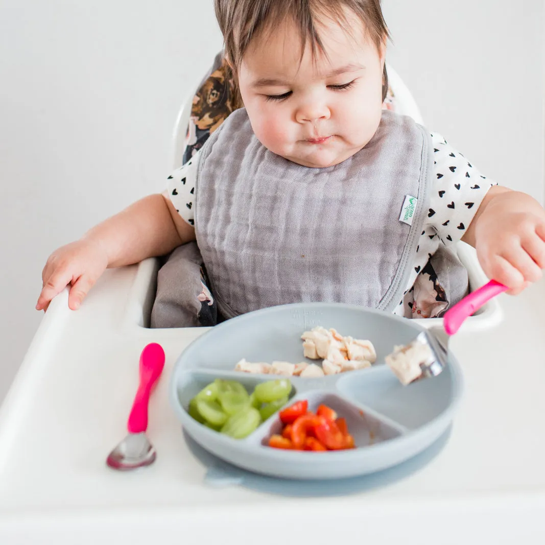 Learning Plate-12mo 