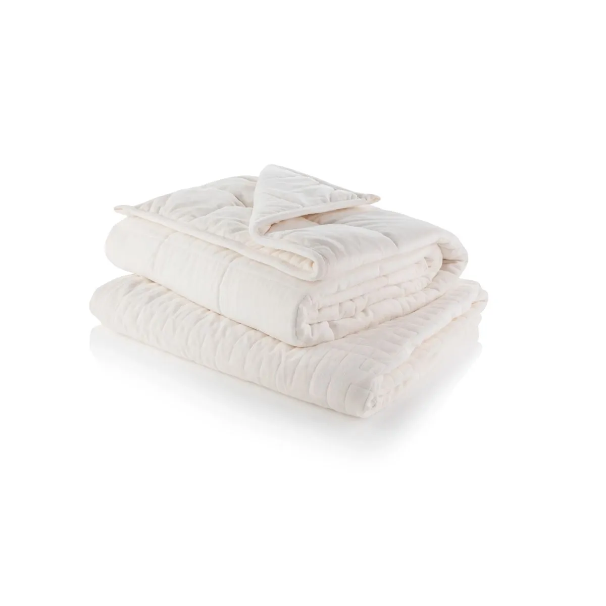 Minky Luxury Weighted Blanket with Removable Cover - Single