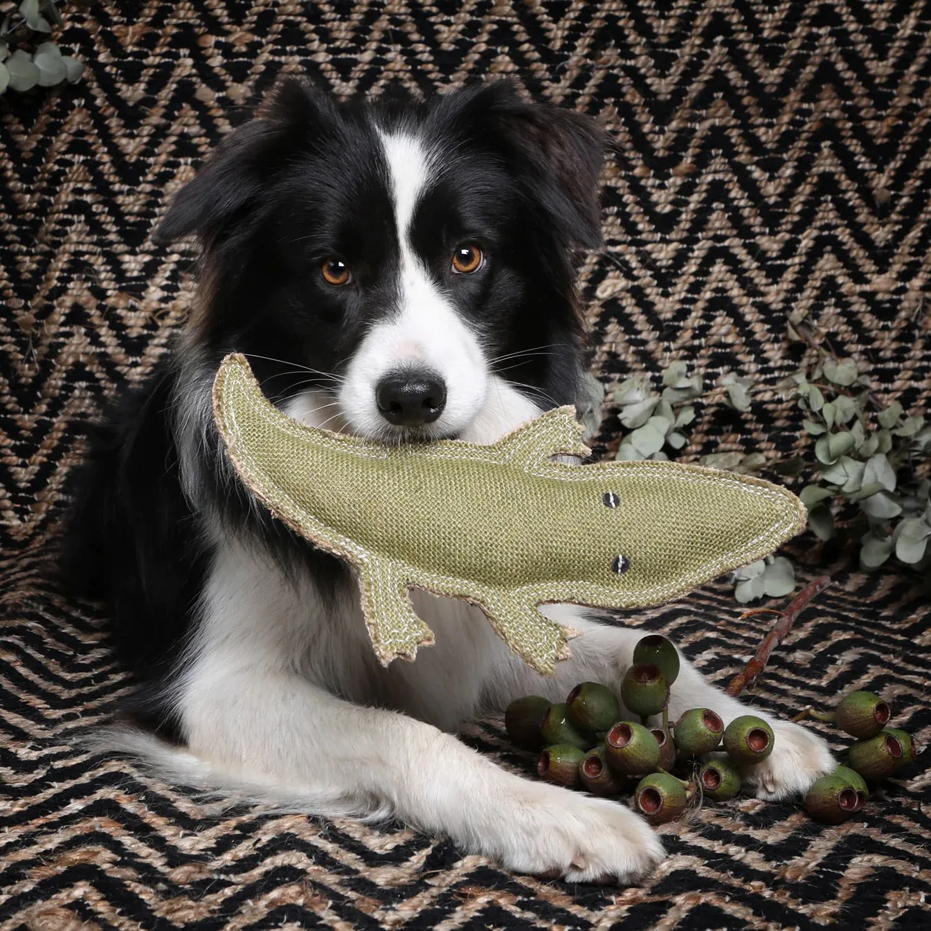 Outback Tails Felt and Jute Dog Toys Collection