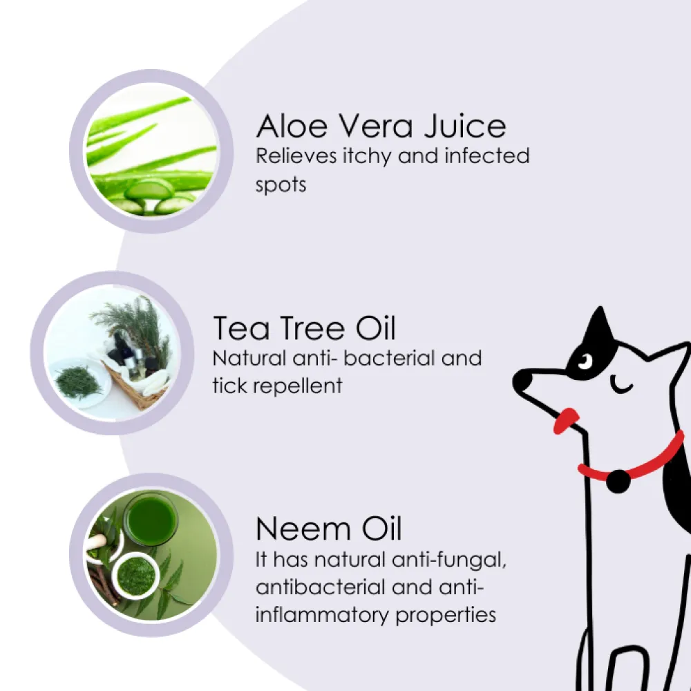 Pet And Parents 2 in 1 Anti Tick Tearless Lavender Shampoo & Conditioner for Dogs and Cats