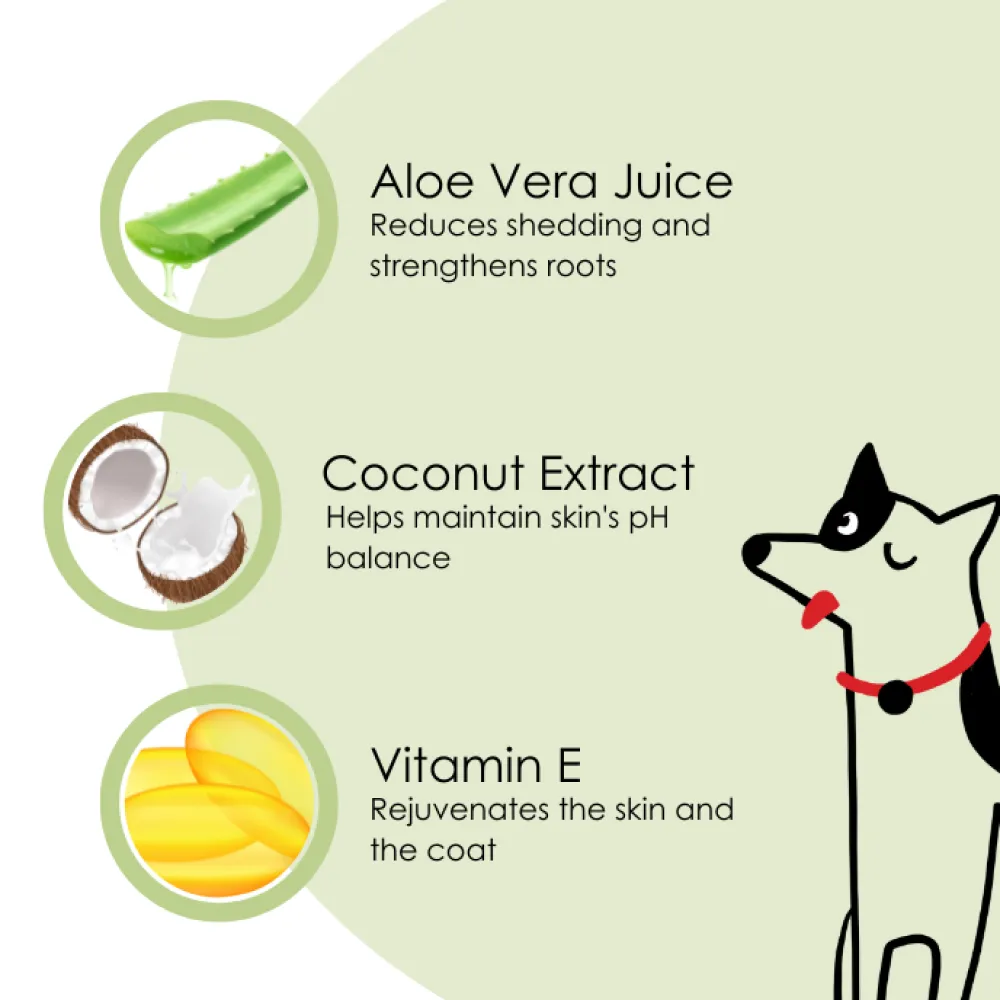 Pet And Parents Deshedding Tearless Alovera   Coconut Shampoo for Dogs and Cats