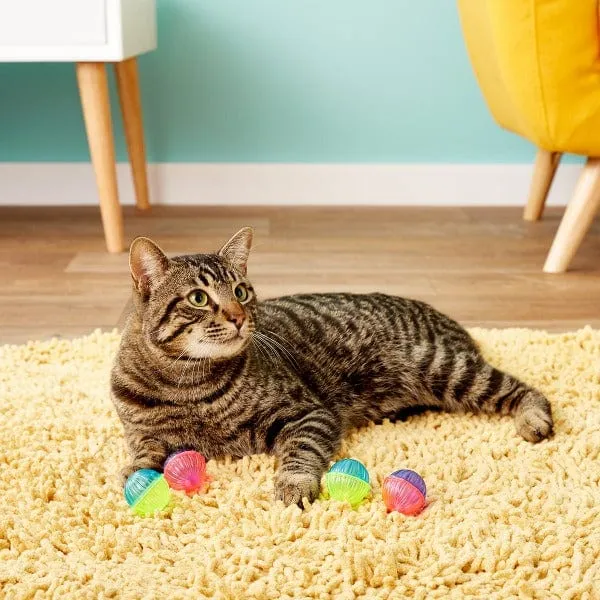 Spot Shimmer Balls Cat Toy